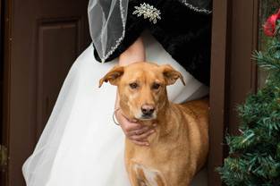 Mike Flamm Photography, LLC