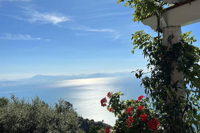 Seaview Terrace