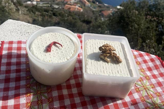 Homemade Pecorino cheese