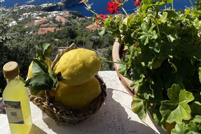 Homemade Limoncello