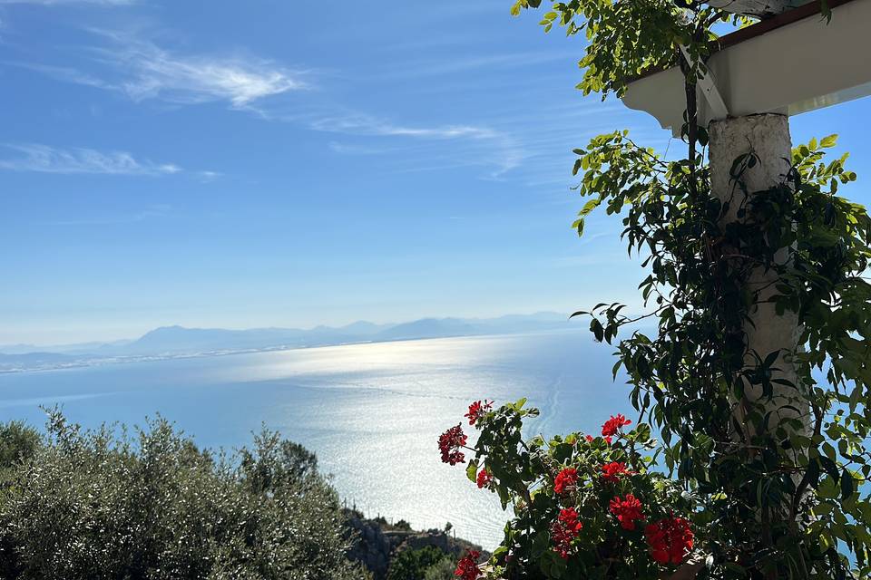 Seaview Terrace