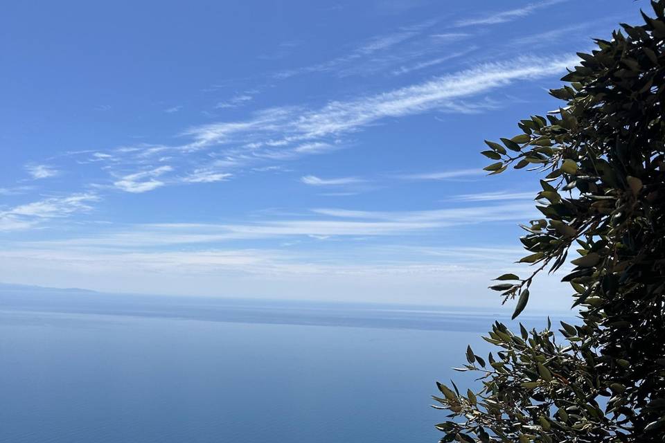 Seaview Terrace