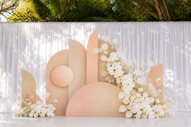 Monstera Studios Set