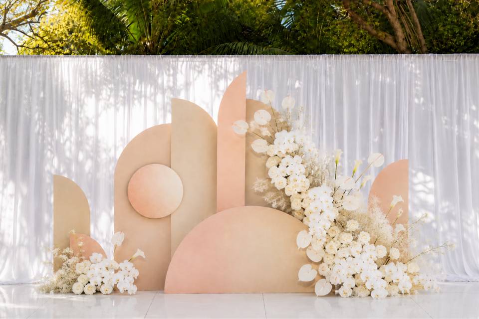 Monstera Studios Set