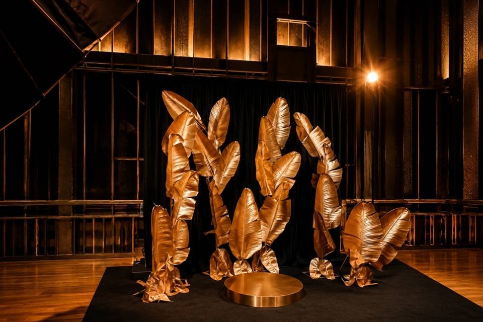 Monstera Studios Set