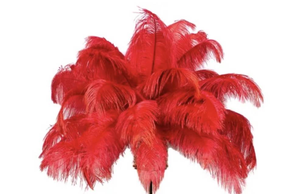 Red feather centerpiece