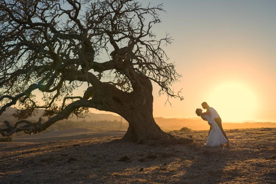 Oak & Barrel Photography