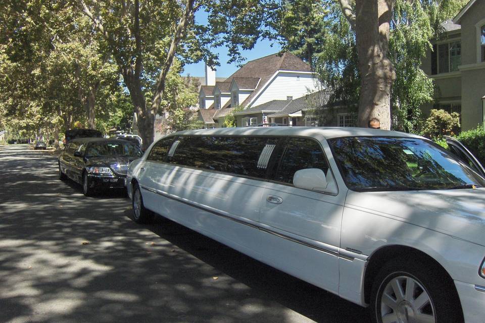 Lone Star Limousine & Transportation Service