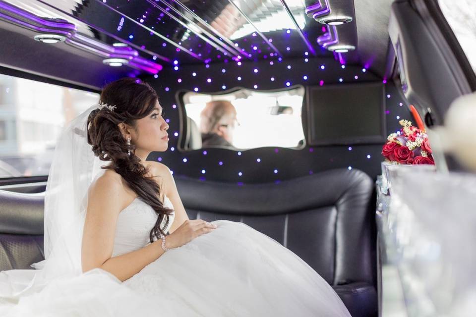 Lone Star Limousine & Transportation Service