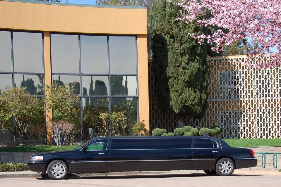 Lone Star Limousine & Transportation Service