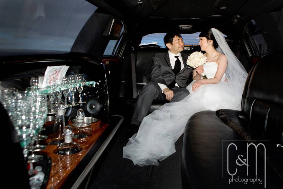 Lone Star Limousine & Transportation Service