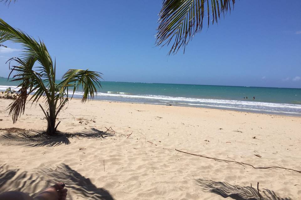 Say I Do in Beautiful Puerto Rico!