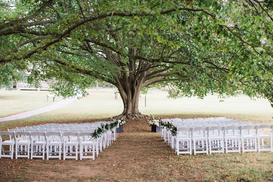 Wedding Tree