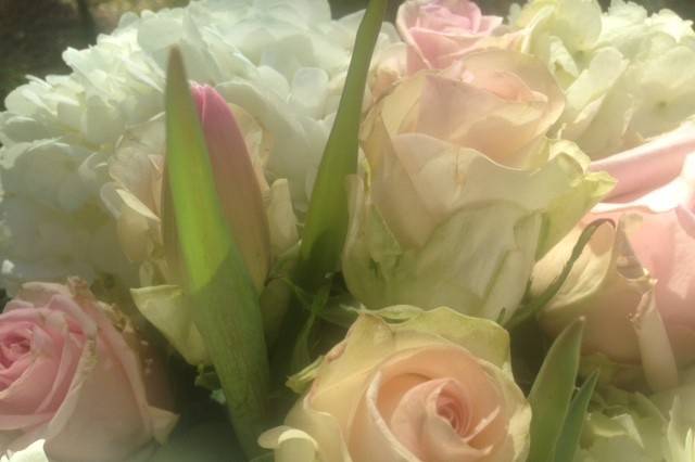 Small romantic bridal bouquet with roses, tulips, azaleas and baby's breath.