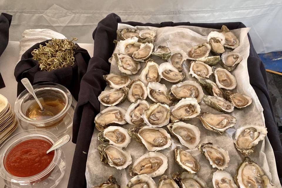 Oysters on Half Shell