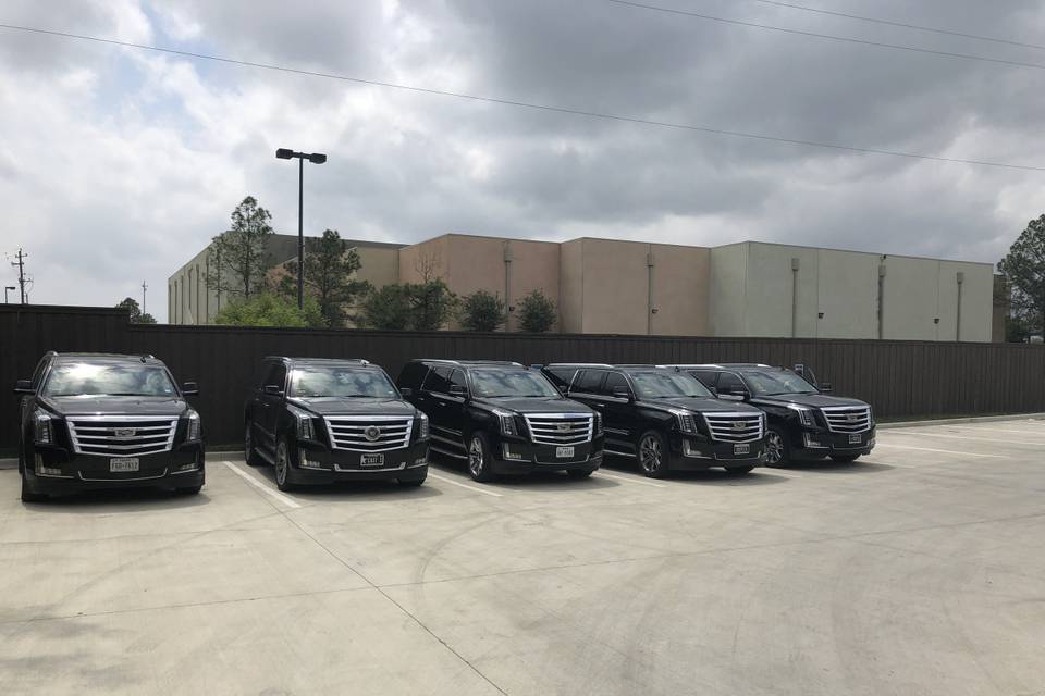 Our Fleet of Escalade