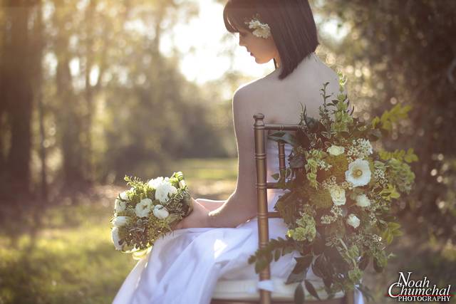 Noah Chumchal Photography