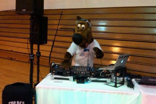 Pro DJs