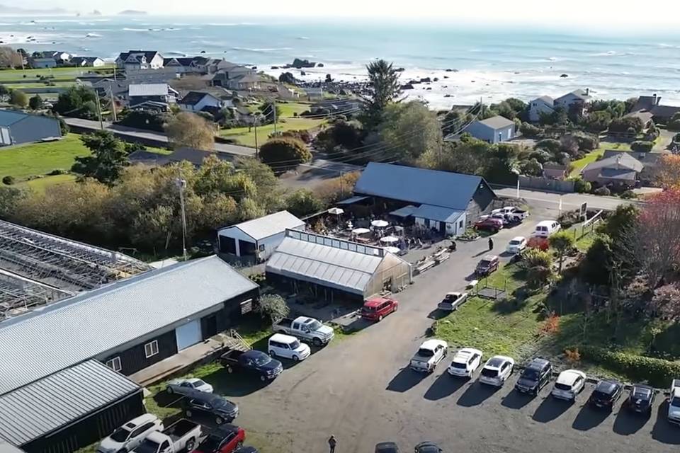 Arial Umbrella Farms Ocean
