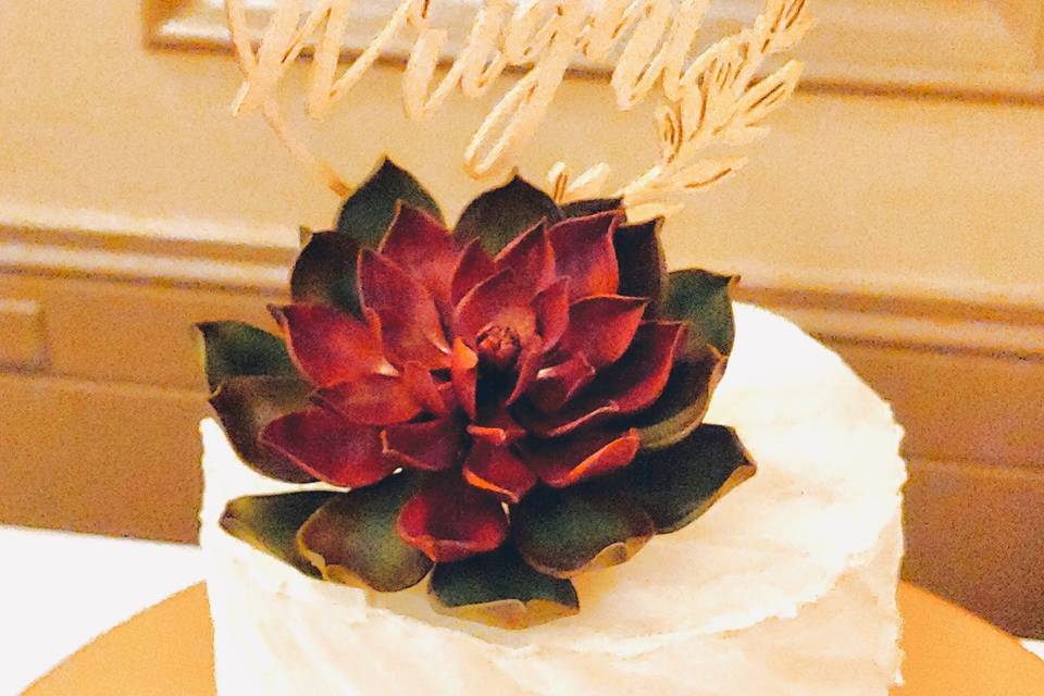 Cutting cake & sugar succulent