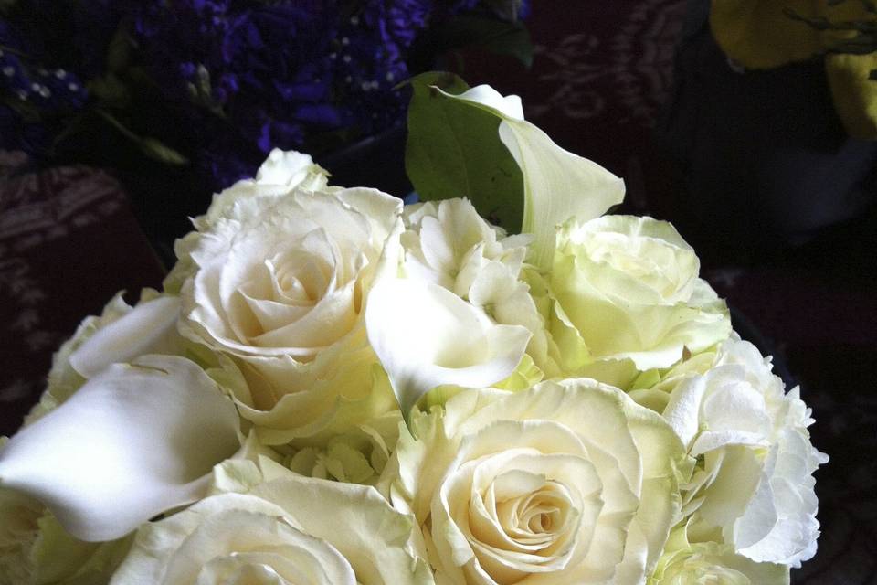 White garden roses