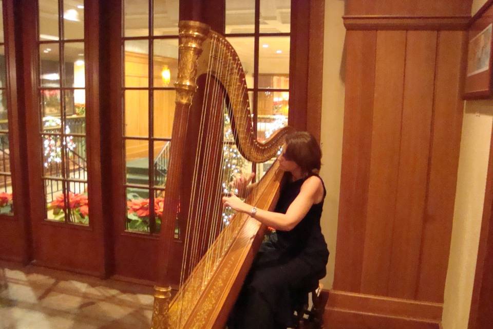 Meg Rodgers, Harpist