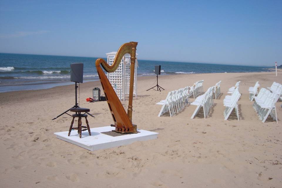 Meg Rodgers, Harpist