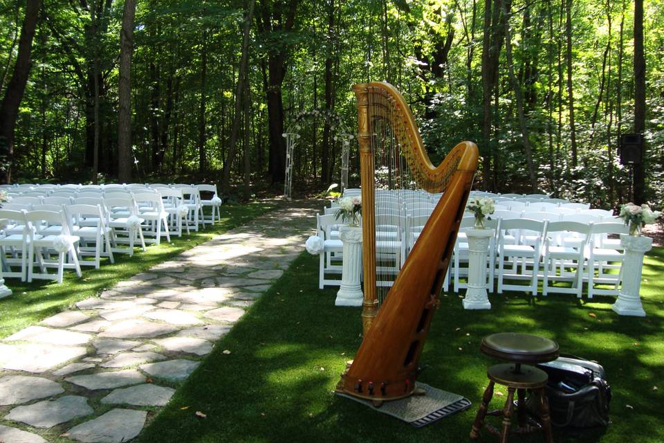 Meg Rodgers, Harpist