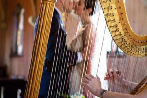 Meg Rodgers, Harpist