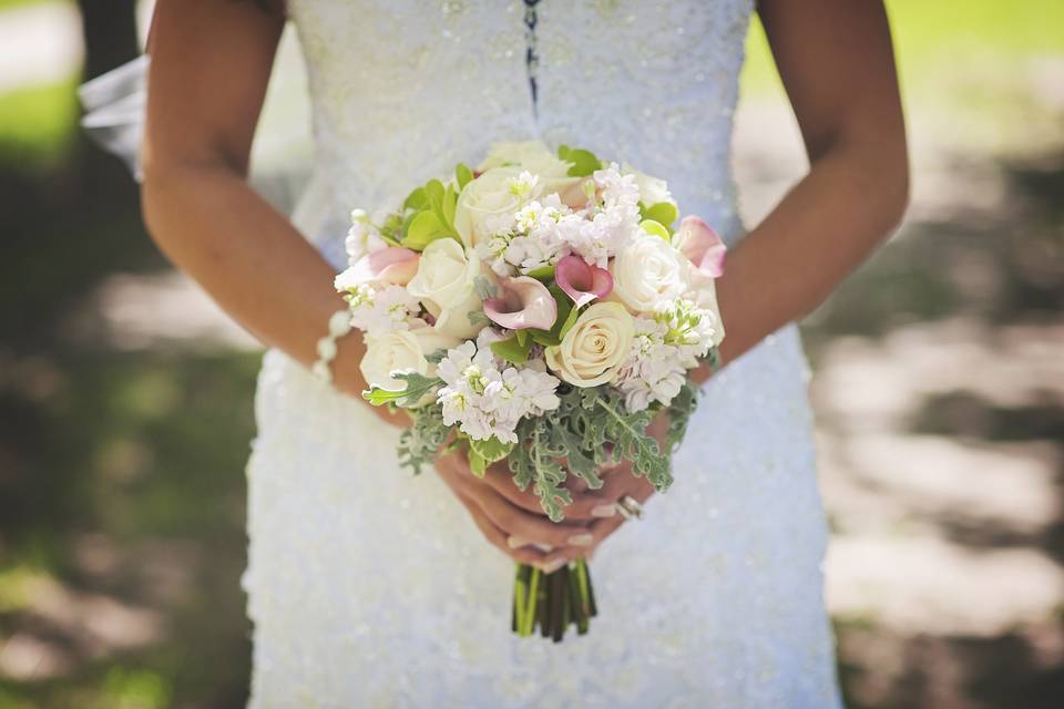 Tara Boeser Photography