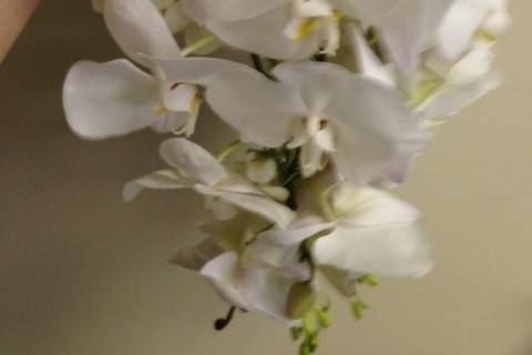 Phaleanopsis orchid bouquet
