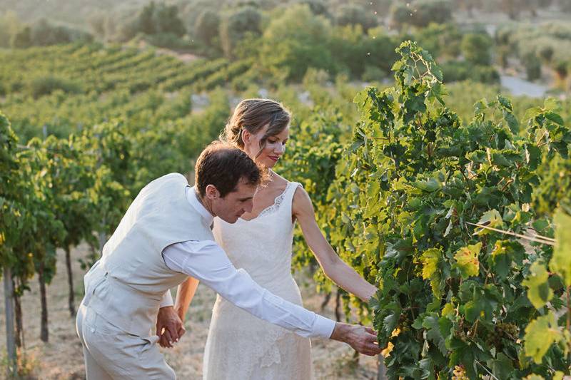 Weddings in Crete by NM events