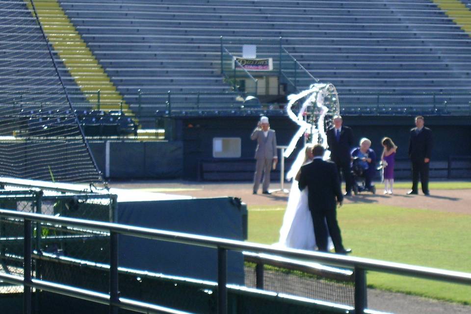 Wedding at the field