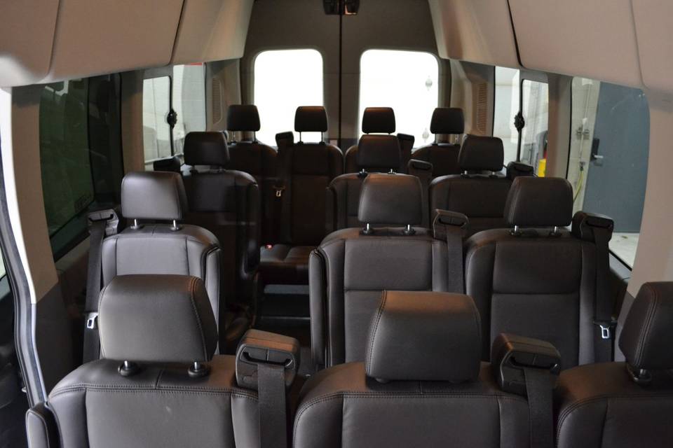 14 passenger luxury shuttle