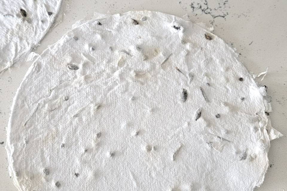 Hand-made Paper with Seeds