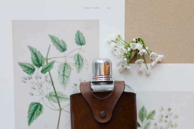 Jina LaFary Photography