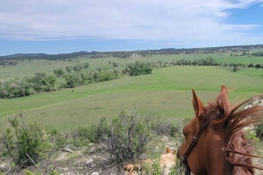 Cottonwood Creek Ranch (WY)