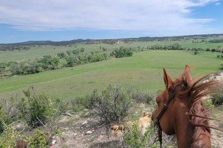 Cottonwood Creek Ranch (WY)