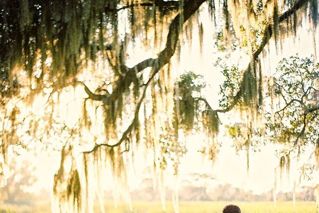 Couple embracing beneath a willow tree