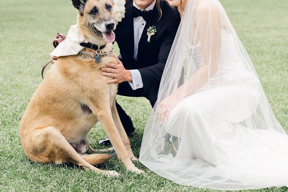 Florida Wedding Coordinator