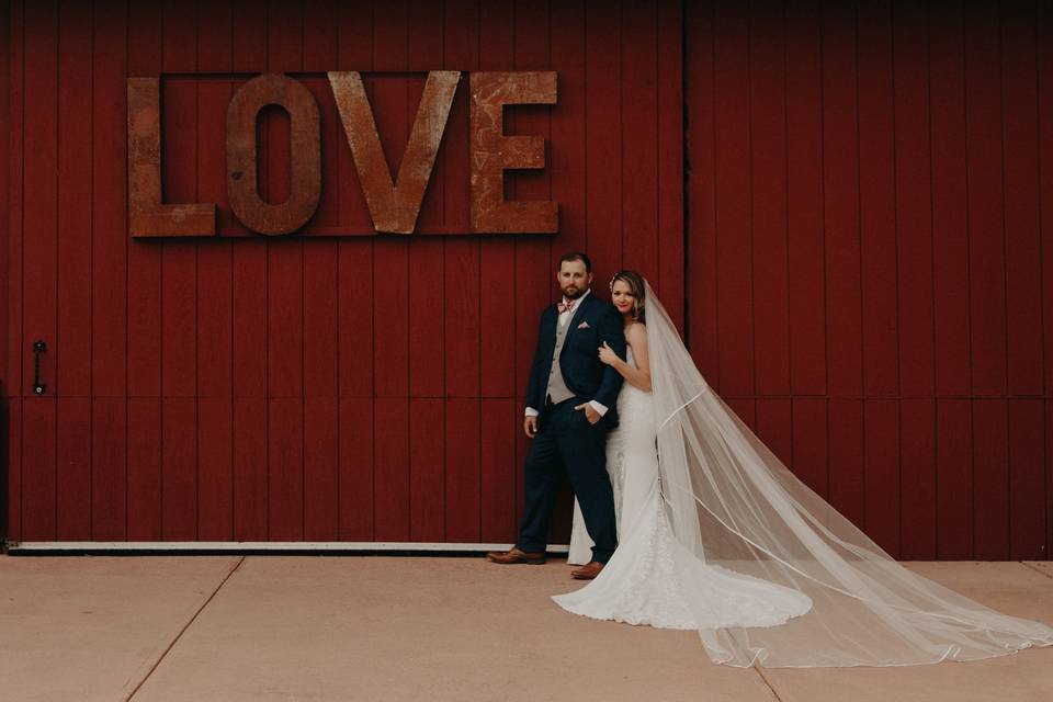 Courtyard Barn Door