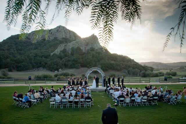 Tony A Hertz Wedding Photography