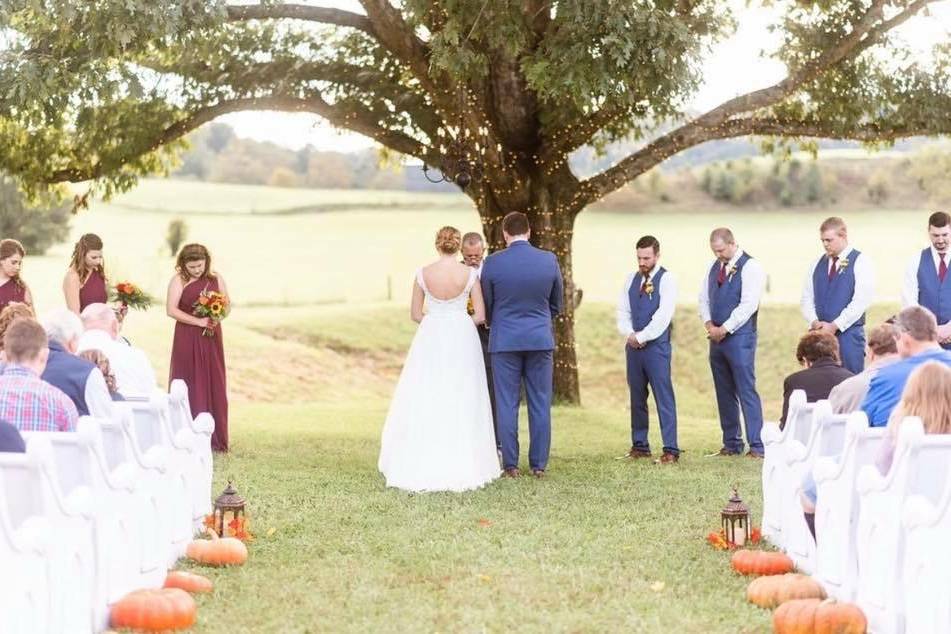 A ceremony beneath the oak tree