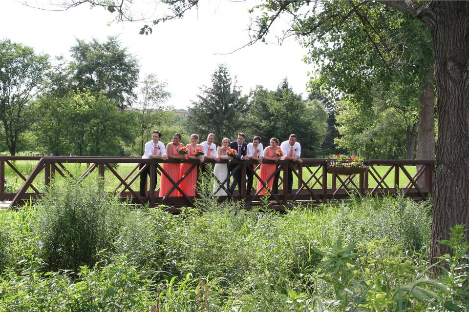 Bridal party on bridge