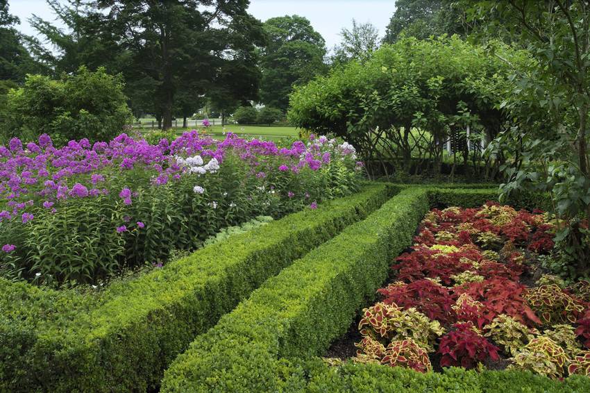 Roseland Cottage Gardens and Carriage House Garden