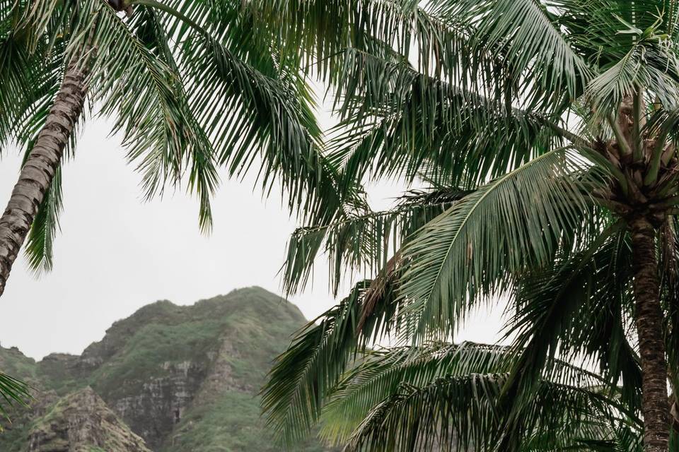 Kuolua Ranch Hawaii