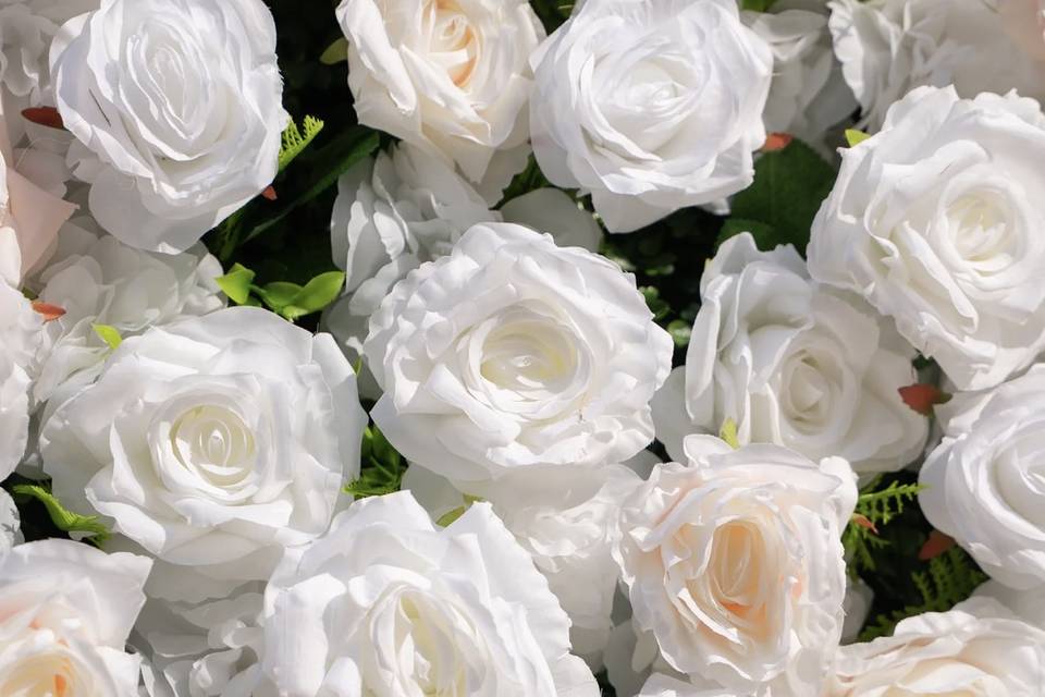 Blush and White flower wall