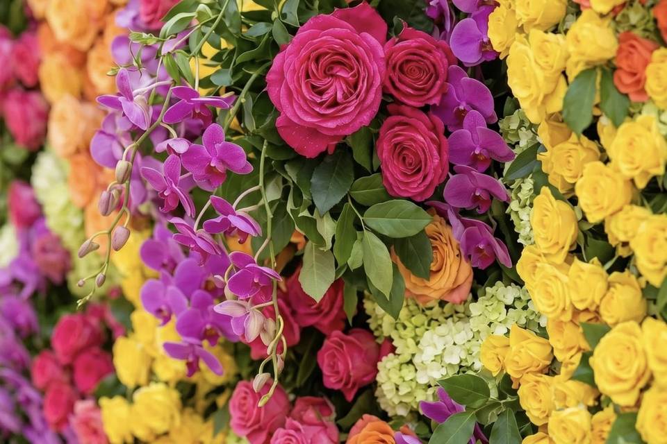 Vibrant Garden Flower wall