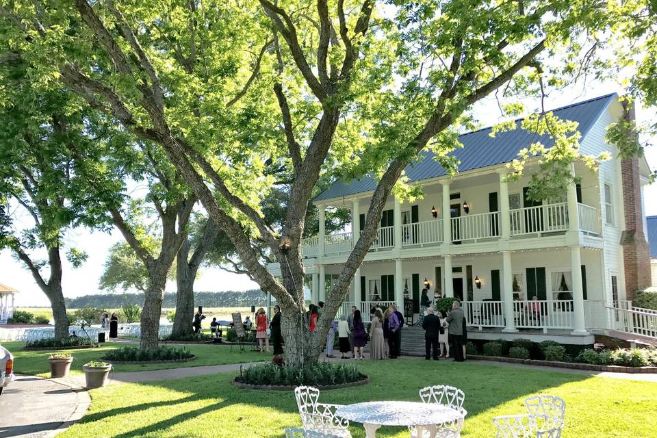 House view with the guests