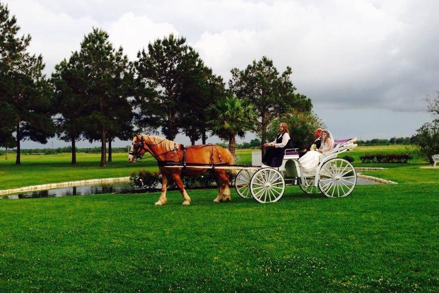 House estate carriage